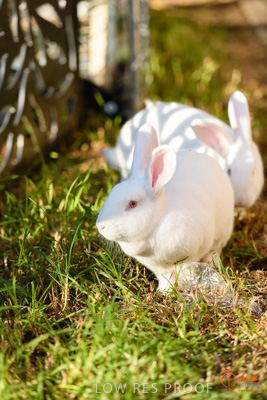 June 2018 / CHURCHILL_086_180605