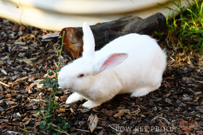 June 2018 / CHURCHILL_088_180605