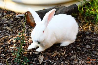 June 2018 / CHURCHILL_089_180605