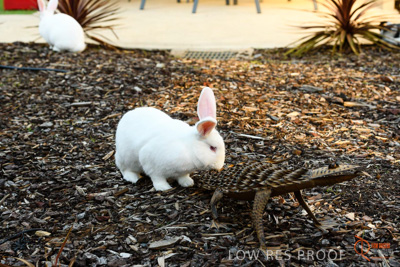 June 2018 / CHURCHILL_090_180605