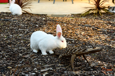 June 2018 / CHURCHILL_091_180605