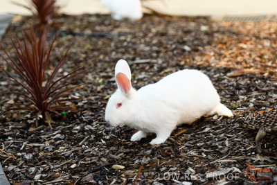 June 2018 / CHURCHILL_092_180605