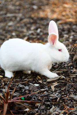 June 2018 / CHURCHILL_093_180605