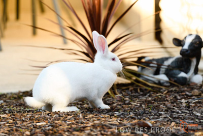 June 2018 / CHURCHILL_094_180605