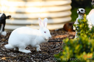 June 2018 / CHURCHILL_095_180605