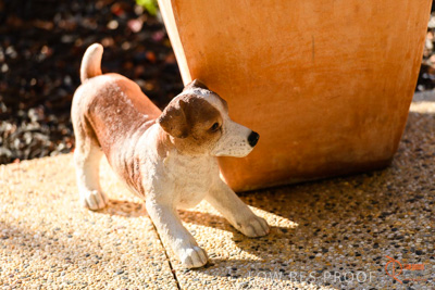 June 2018 / CHURCHILL_131_180605