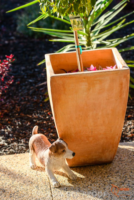 June 2018 / CHURCHILL_132_180605