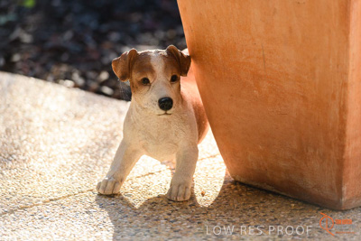 June 2018 / CHURCHILL_133_180605