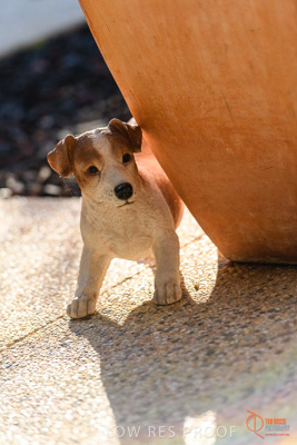 June 2018 / CHURCHILL_134_180605