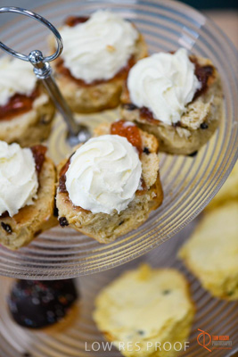 June 2018 / ROSE_COURT_117_180605