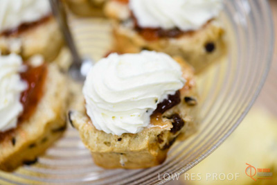 June 2018 / ROSE_COURT_120_180605