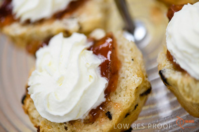 June 2018 / ROSE_COURT_121_180605