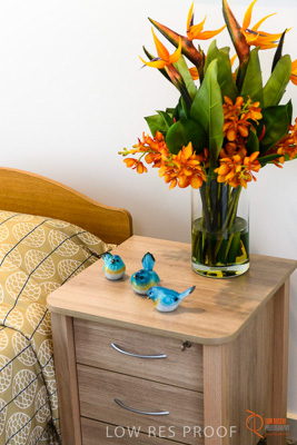 June 2018 / ROSE_COURT_321_180605