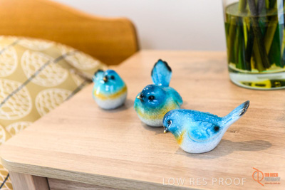 June 2018 / ROSE_COURT_326_180605