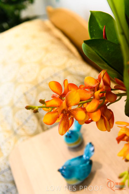 June 2018 / ROSE_COURT_327_180605