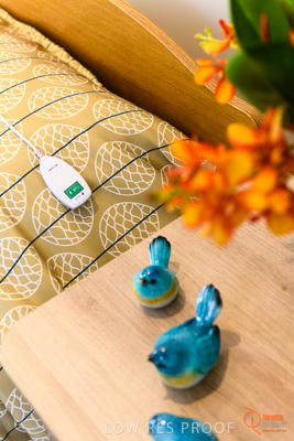 June 2018 / ROSE_COURT_330_180605