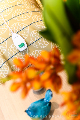 June 2018 / ROSE_COURT_331_180605