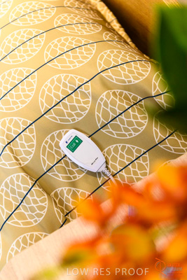 June 2018 / ROSE_COURT_332_180605