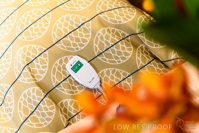 June 2018 / ROSE_COURT_333_180605