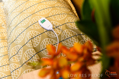 June 2018 / ROSE_COURT_335_180605