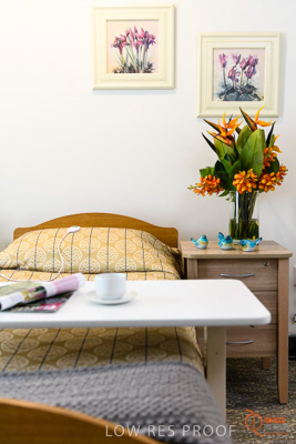 June 2018 / ROSE_COURT_337_180605