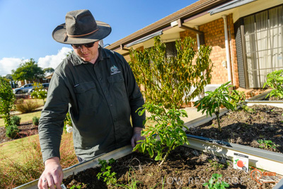 June 2018 / ROSE_COURT_346_180605