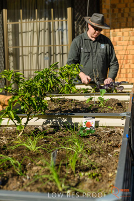 June 2018 / ROSE_COURT_356_180605