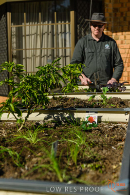 June 2018 / ROSE_COURT_358_180605