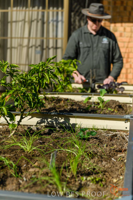 June 2018 / ROSE_COURT_361_180605