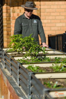 June 2018 / ROSE_COURT_362_180605