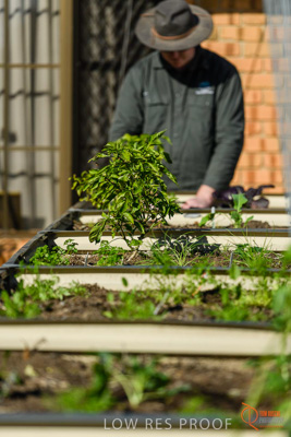 June 2018 / ROSE_COURT_365_180605