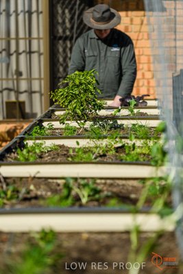 June 2018 / ROSE_COURT_366_180605