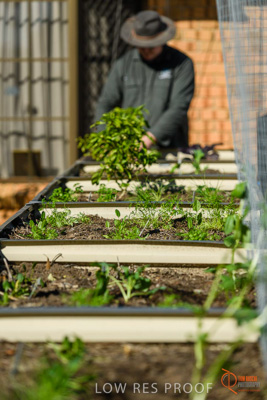 June 2018 / ROSE_COURT_367_180605