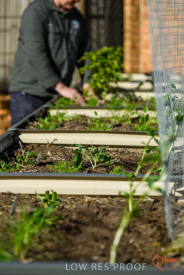 June 2018 / ROSE_COURT_369_180605