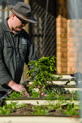 June 2018 / ROSE_COURT_370_180605