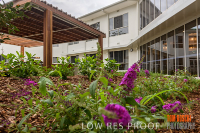 March 2019 / TWMB_COURT_YARD_190301_010