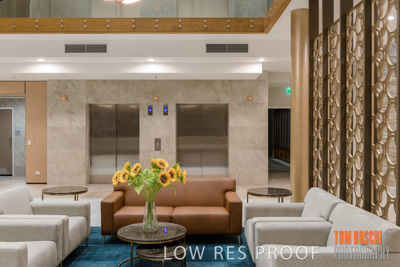 February 2019 / TWMB_LOBBY_STD_190227_025