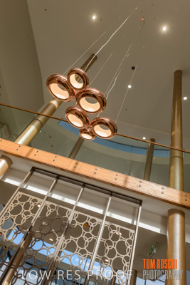 February 2019 / TWMB_LOBBY_STD_190228_044-HDR