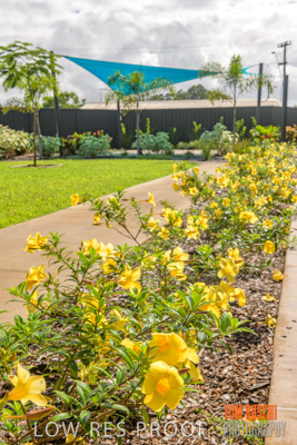 March 2019 / EDMNT_COURT_YARDS_190304_037