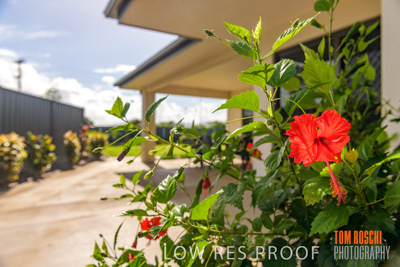 March 2019 / EDMNT_COURT_YARDS_190304_055