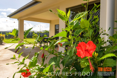 March 2019 / EDMNT_COURT_YARDS_190304_056