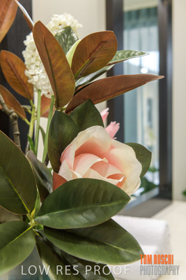 March 2019 / EDMNT_HAIRDRESSER_190304_016