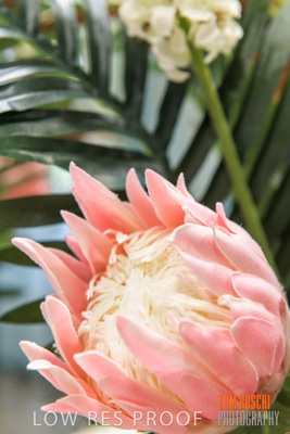 March 2019 / EDMNT_HAIRDRESSER_190304_017