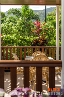 March 2019 / CRT_YARDS_190305_011