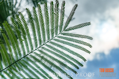 March 2019 / CRT_YARDS_190306_037