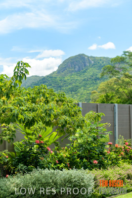 March 2019 / CRT_YARDS_190306_040