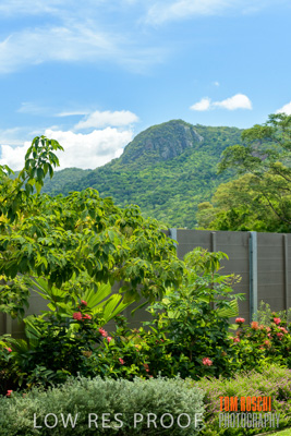 March 2019 / CRT_YARDS_190306_041