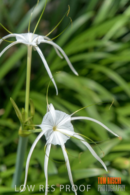 March 2019 / DETAILS_190306_005