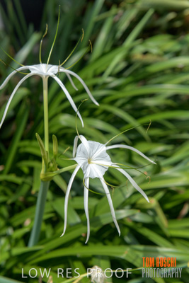 March 2019 / DETAILS_190306_006