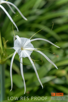 March 2019 / DETAILS_190306_007